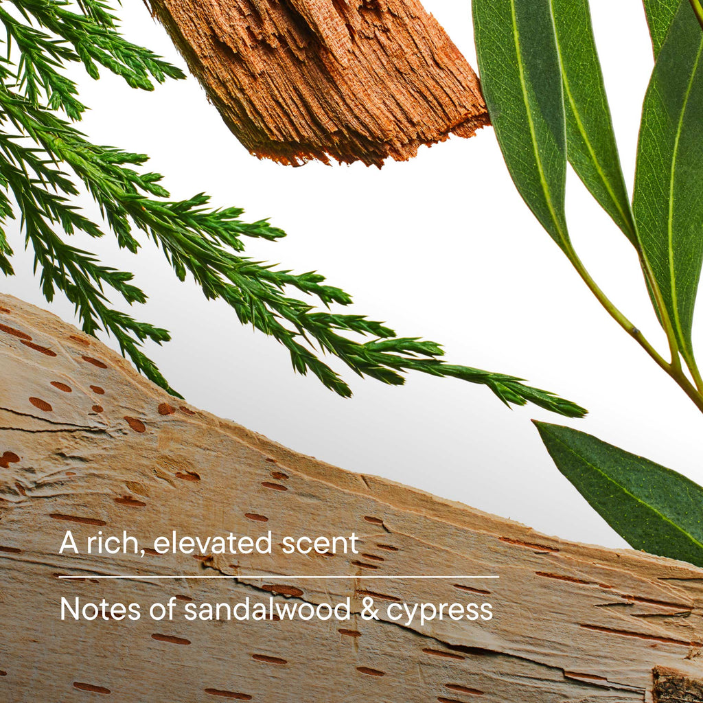 Body Scent Layering Bundle