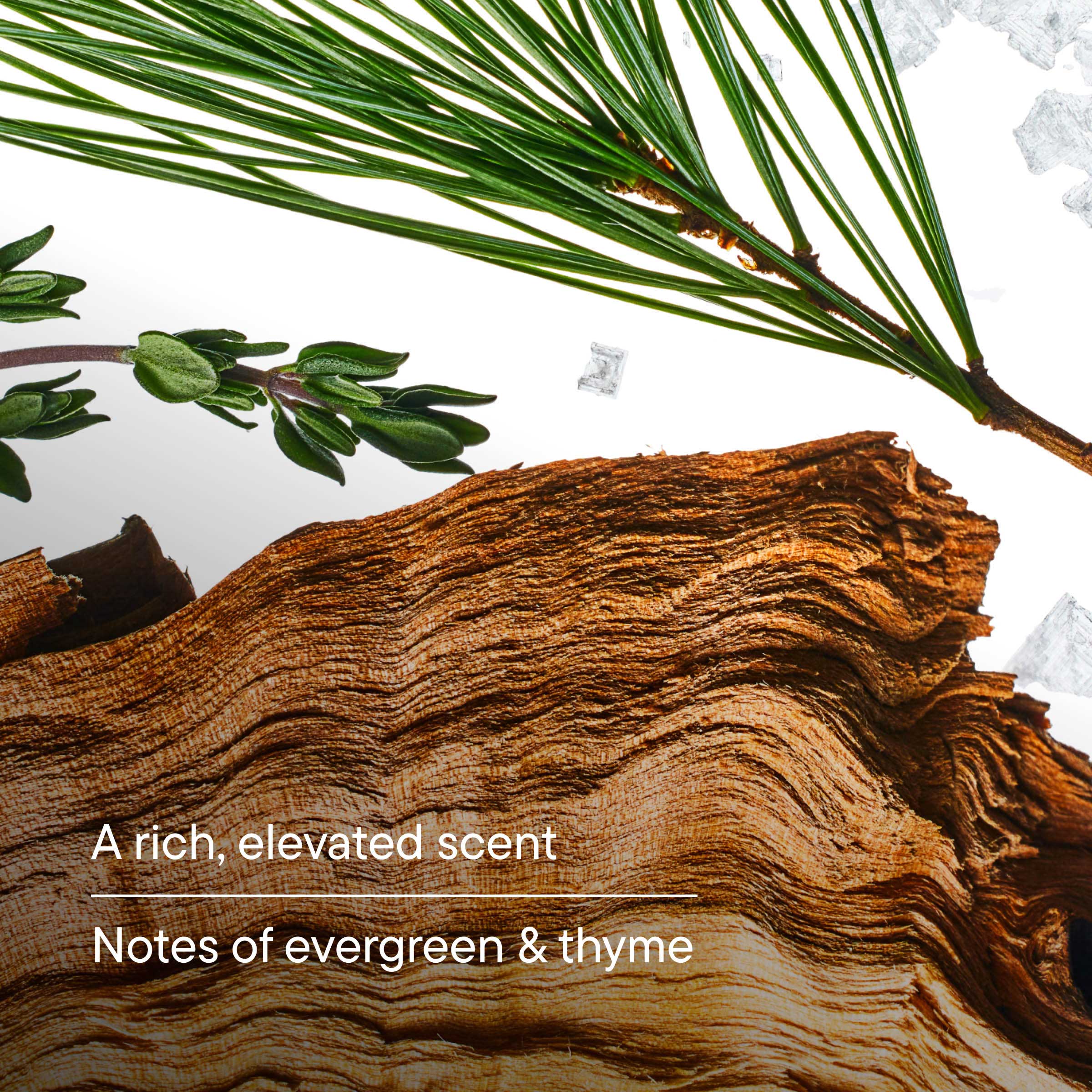 Redwood Extra-Strength Antiperspirant | 72 HR Sweat &amp; Odor Protection